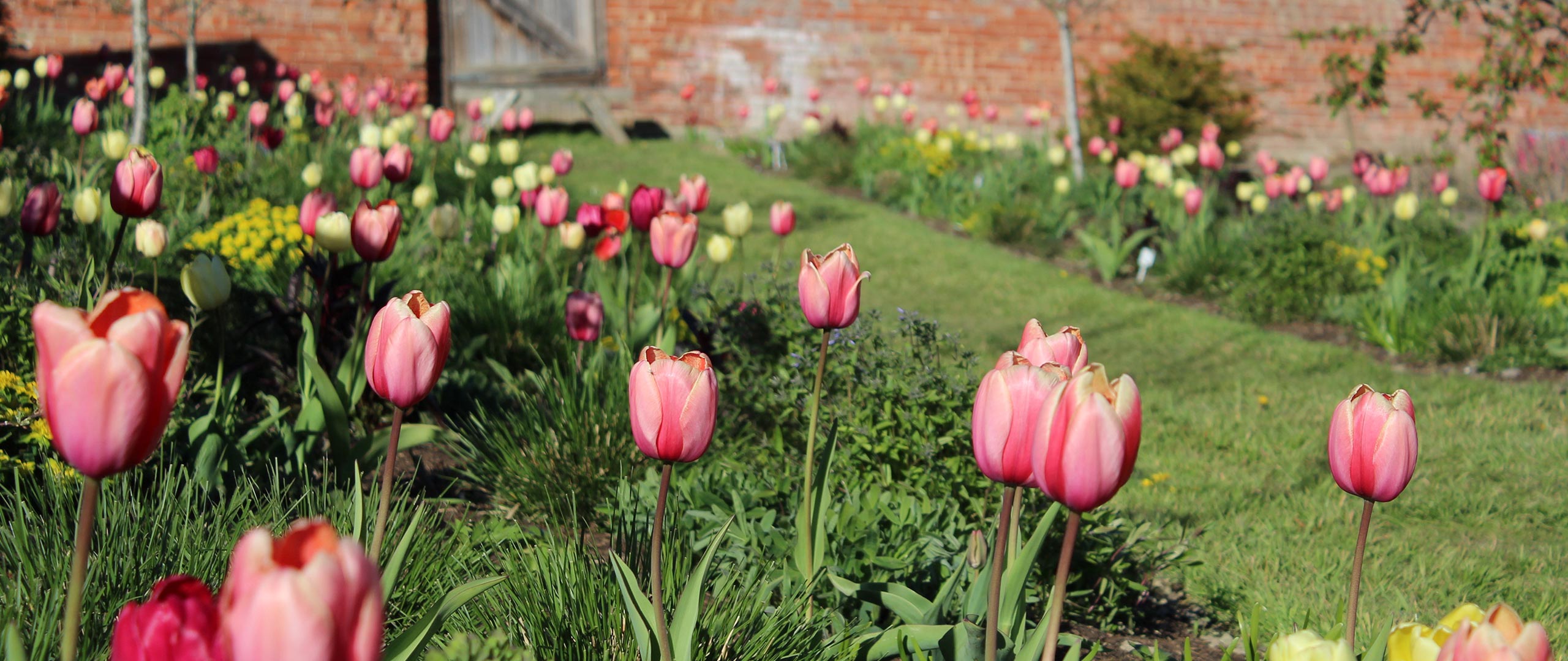 homepage-spring-23-01